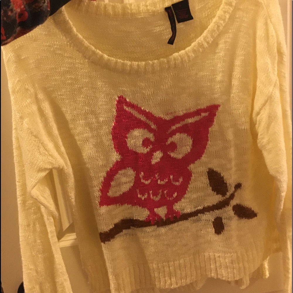 Off-White Owl Crop Sweater